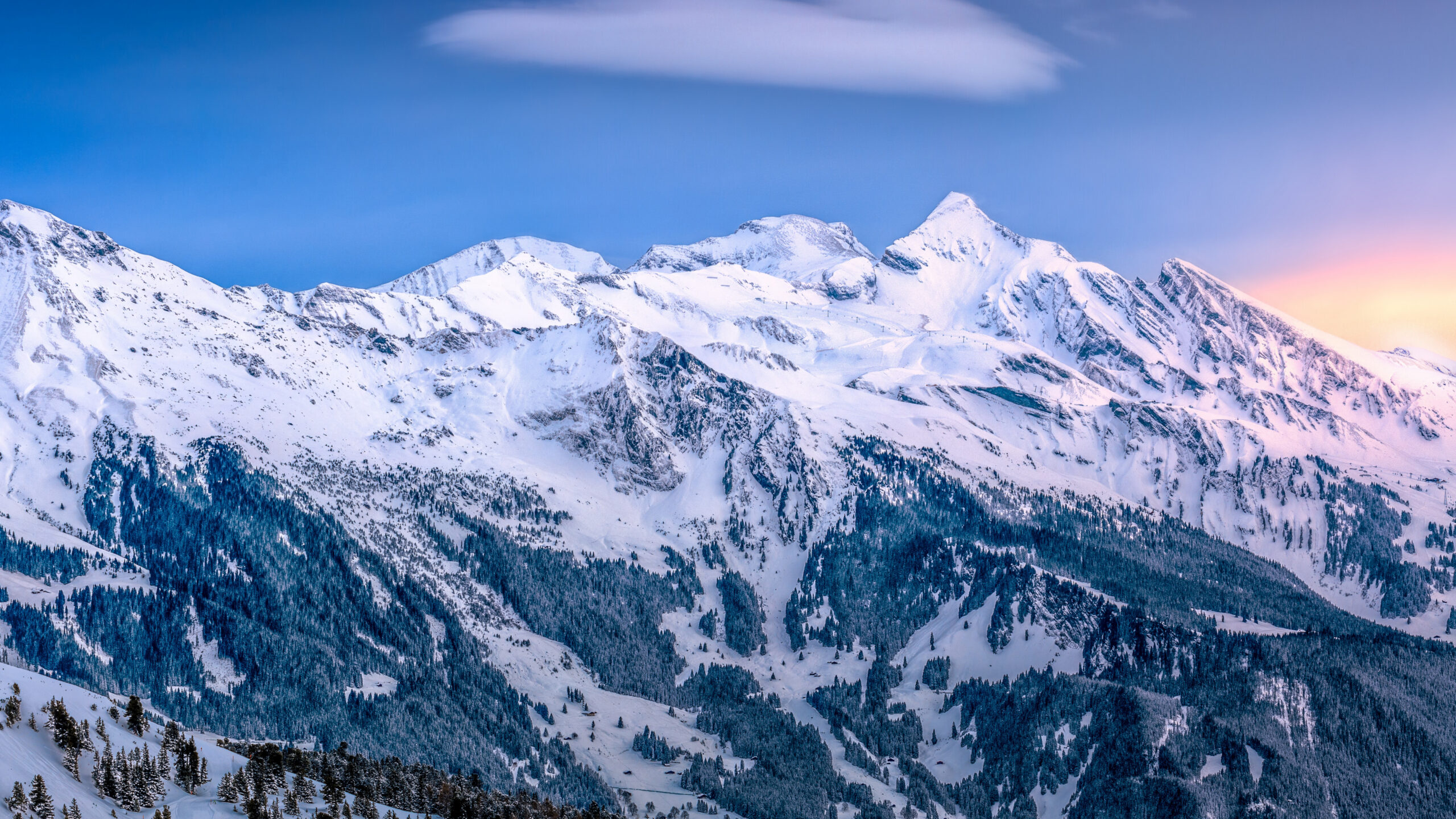 MicroInspect semiconductor inspection